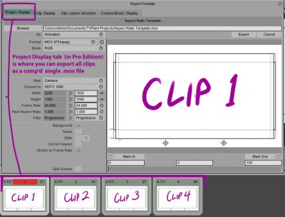 Export from Project Display tab in Pro Edition.jpg