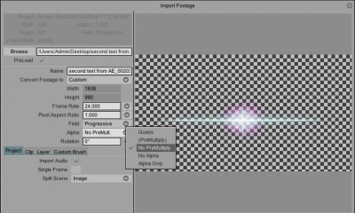 Import_Settings_No_Premult.jpg