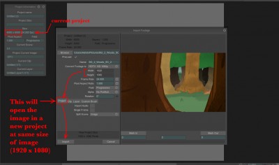 Import Image into New Project.jpg