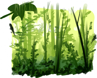 rainforest_01.png