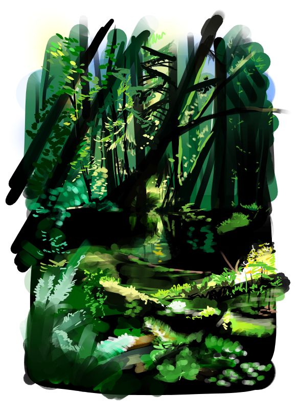 rainforest_04.jpg