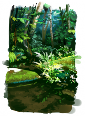 rainforest_05.png