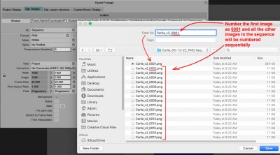 Numbering_exported_image_sequence.jpg