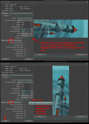 TVPaint rotation orientation of imported image.png