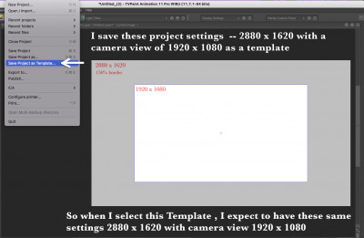 Save Project as Template with Camera.jpg