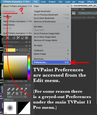 TVPaint Preferences menu location.png