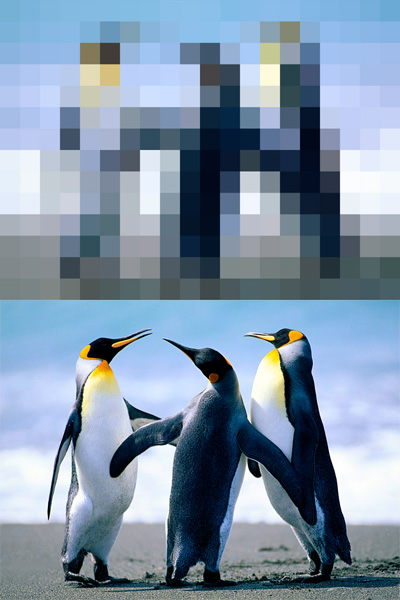 Penguins_mosaic.jpg