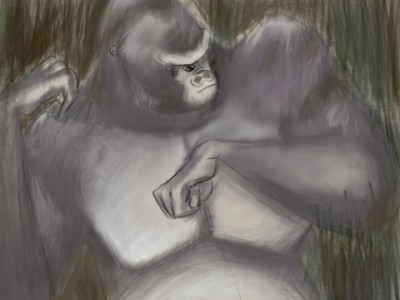 Gorilla.jpg