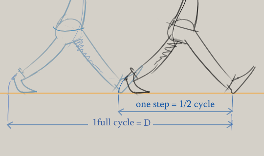 cycle-length.png