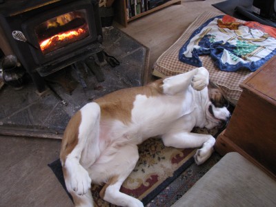 She can be decadent, too - though she doesn't drink and smoke like ZigOtto's Beagle!